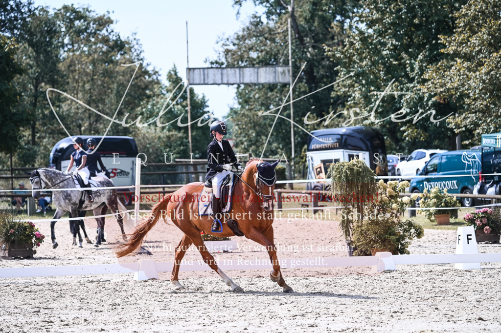 DSC_5099 | Pferde- und Turnierfotografie in Westsachsen. Pferdeportraits, Auftragszeichnungen und intuitive Kunst.