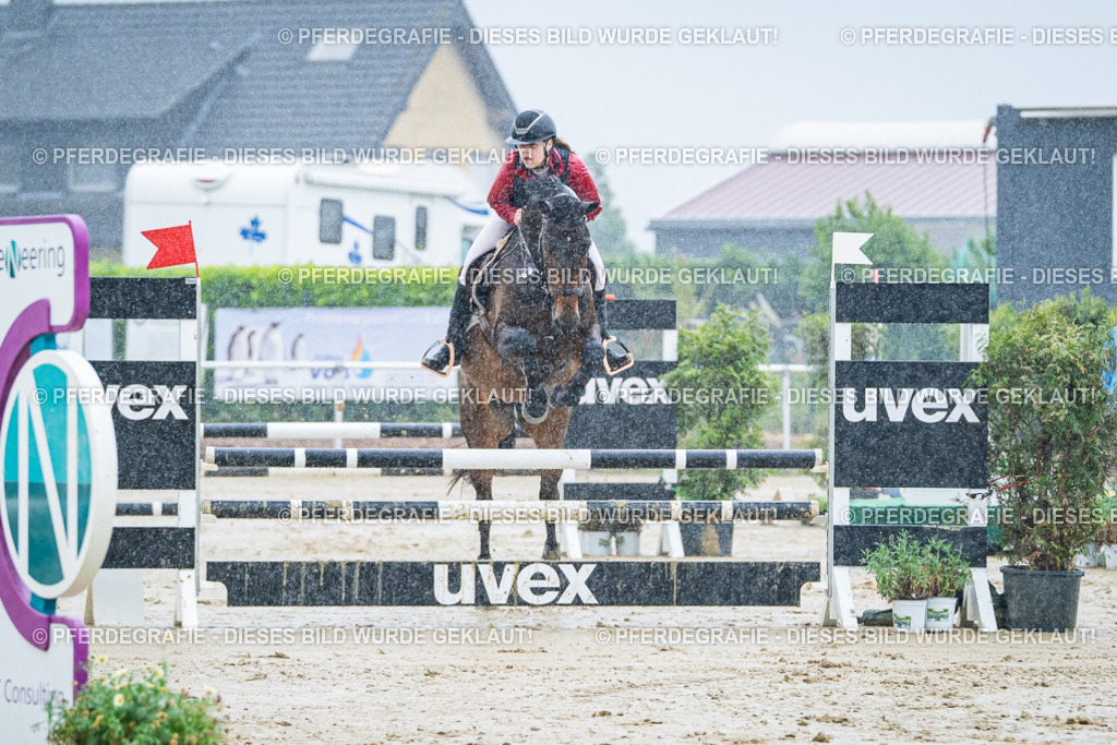 DSC02984 | Pferdegrafie