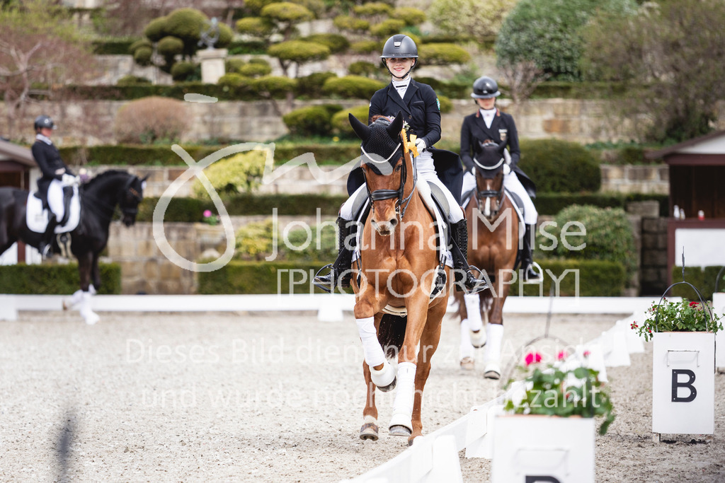 260412_Kronberg_S-Dressur-666 | Deine schönsten Turniermomente als professionelle Fotos! Entdecke hochwertige Pferdesport-Fotografie im Online-Shop. Jetzt Fotos finden & bestellen!