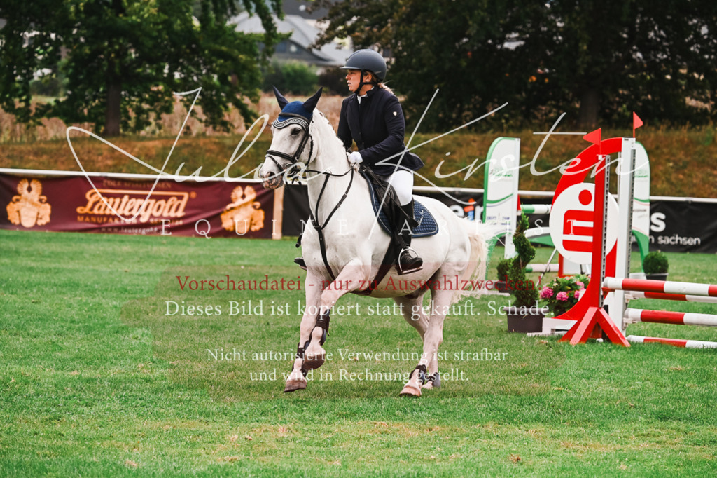 DSC_5939 | Pferde- und Turnierfotografie in Westsachsen. Pferdeportraits, Auftragszeichnungen und intuitive Kunst.
