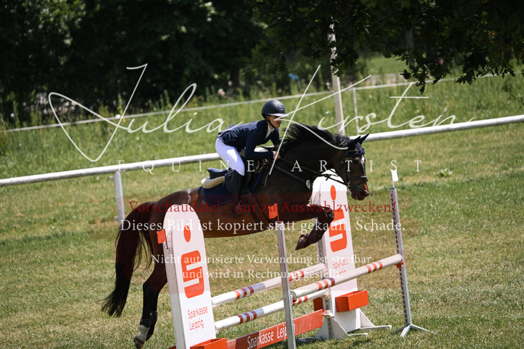DSC_9655 | Pferde- und Turnierfotografie in Westsachsen. Pferdeportraits, Auftragszeichnungen und intuitive Kunst.