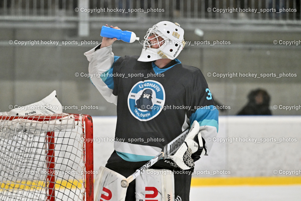 Lendhafen Seelöwen vs. Spartans Althofen | #37 Juch Lukas Lendhafen Seelöwen, Lendhafen Seelöwen vs. Spartans Althofen, Lendhafen Seelöwen vs. Spartans Althofen am 14.02.2025 in Ferlach (HTC Eishalle Ferlach), Austria, (Photo by Bernd Stefan)