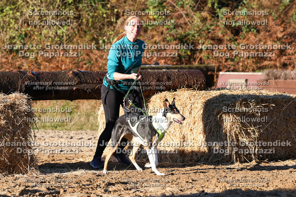 Dog Paparazzi - Strongdog 10-25-1101 | Dog Paparazzi Jeanette Grottendiek Fotografie & Videografie - Realisiert mit Pictrs.com