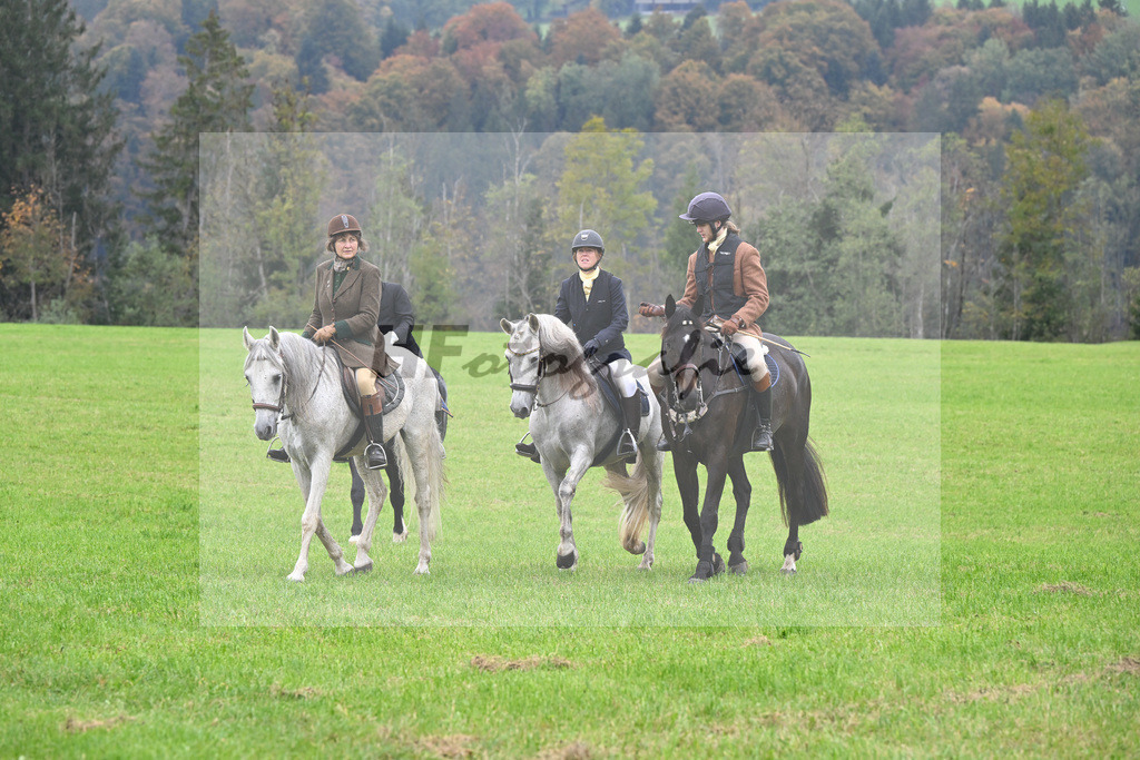 5622751 | hf-fotografie - Realisiert mit Pictrs.com