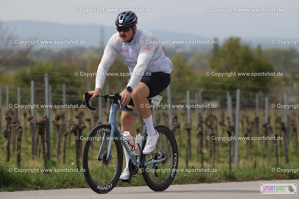 368A4662 | Neusiedlersee Radmarathon 2026@sportshot_your_pictrs #yourpictures#roadtowm2029 #nrm #neusiedlerseeradmarathon #neusiedlersee #neusiedlerseetourismus #burgenland #mörbisch #nrm26 #burgenlandtourismus #voglundco #poweredbyburgenlandtourismus #radsport #rad #marathon #ucigranfondo #visitburgenland #ucigranfondoworldseries