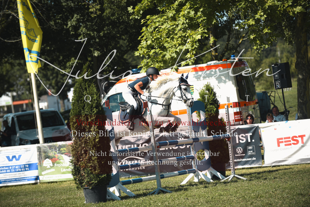 DSC_7260 | Pferde- und Turnierfotografie in Westsachsen. Pferdeportraits, Auftragszeichnungen und intuitive Kunst.