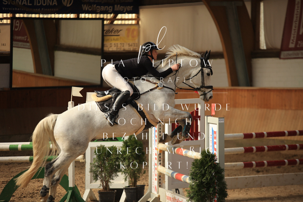 IMGT0338 | pl-fotografie