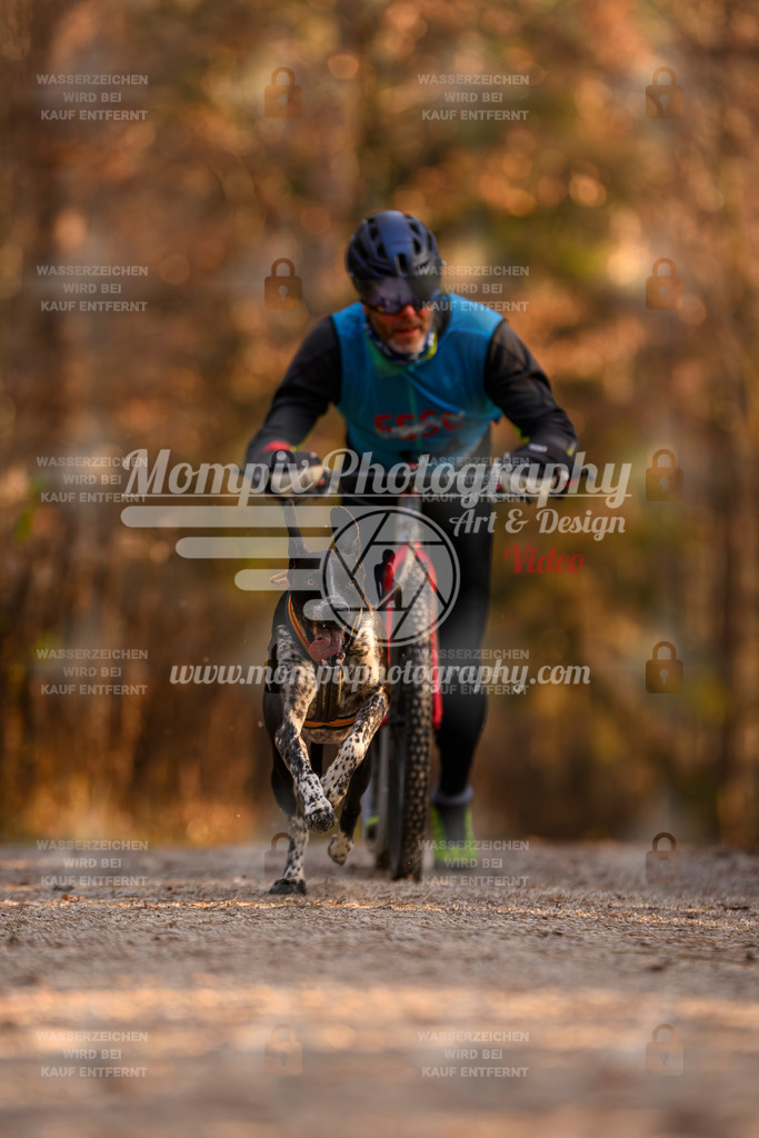 MompixPhotography_DM_AKDM_SO_2025_Scooter-95 | PayLife