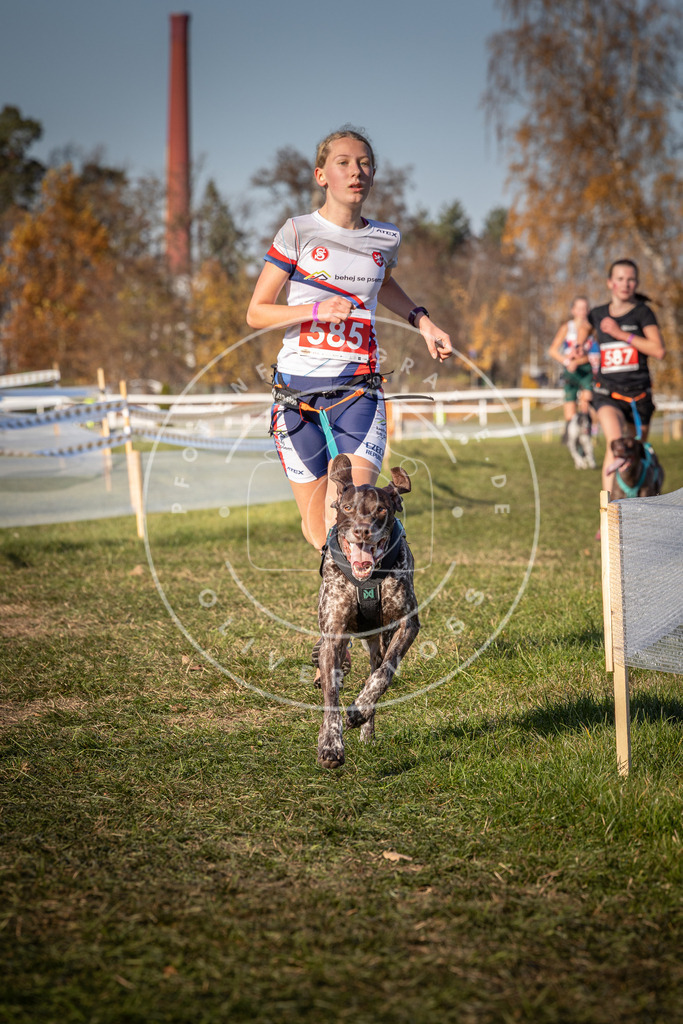 CaniXpix_0L8A8241 | Hundefotografie, Tierfotograf, Pfotenfotografie, Fotoshooting Hund, Hunde Portrait, Hundesport, Hundeportraits, Heideshooting, Hunde, Sportfotograf, Hundefotograf, Turnierhundsport, THS,  - Realisiert mit Pictrs.com