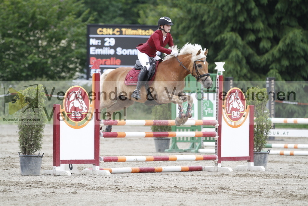 _MG_6651 | equestrian-live-com