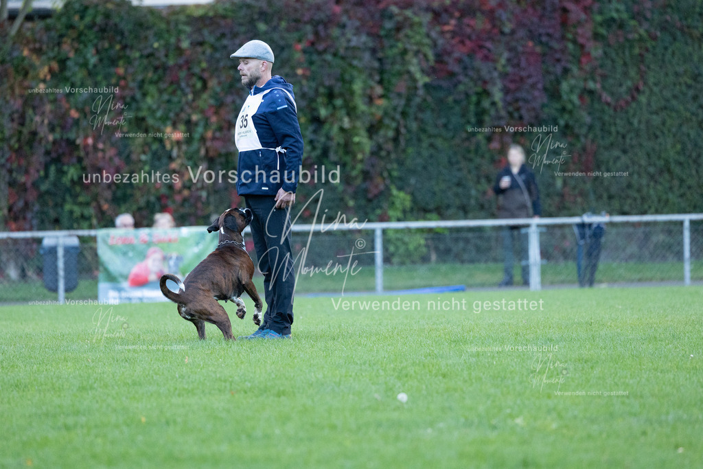 _16A4561 | Einzigartige Fotos von Hunden & Menschen –Actionfotos, Portraits, Vereinsaufnahmen & Paarshootings – authentisch, lebendig & mit Herz.