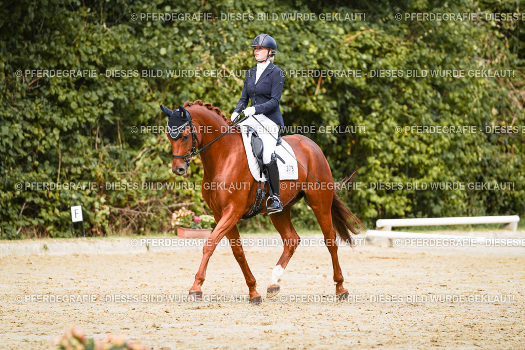 DSC02581 | Pferdegrafie