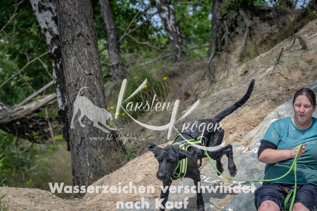 1446_ZZ90703 | kk-dogfotos