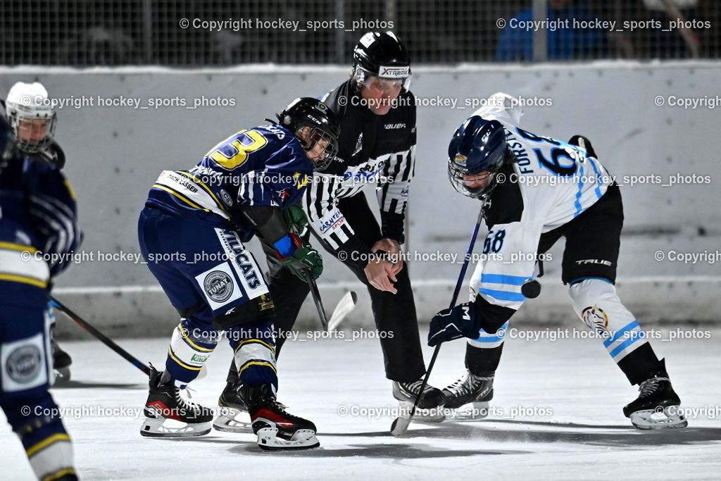 Wildcats Paternion vs. Unicorns Steindorf | #13 Stromberger Nicole WILDCATS PATERNION, Sintschnig Christian Referee, #68 Forster Magdalena UNICORNS STEINDORF, Wildcats Paternion vs. Unicorns Steindorf, Wildcats Paternion vs. Unicorns Steindorf am 02.01.2026 in Paternion (Eislaufplatz Paternion), Austria, (Photo by Bernd Stefan)