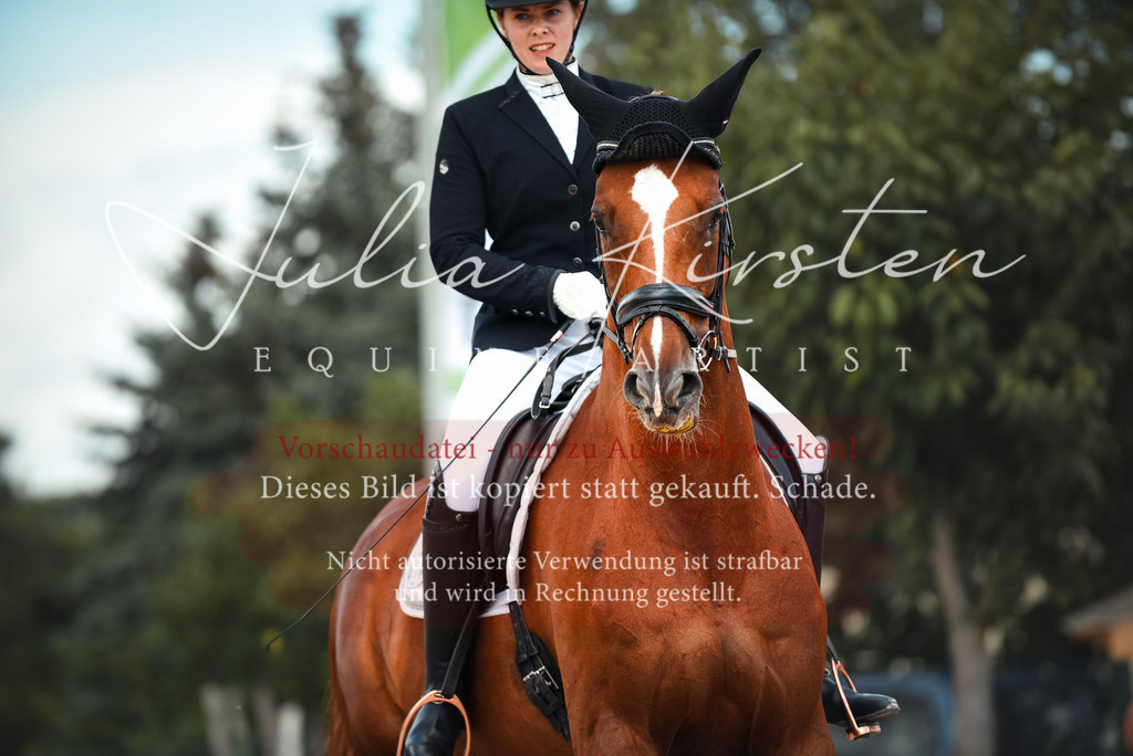 DSC_9118 | Pferde- und Turnierfotografie in Westsachsen. Pferdeportraits, Auftragszeichnungen und intuitive Kunst.