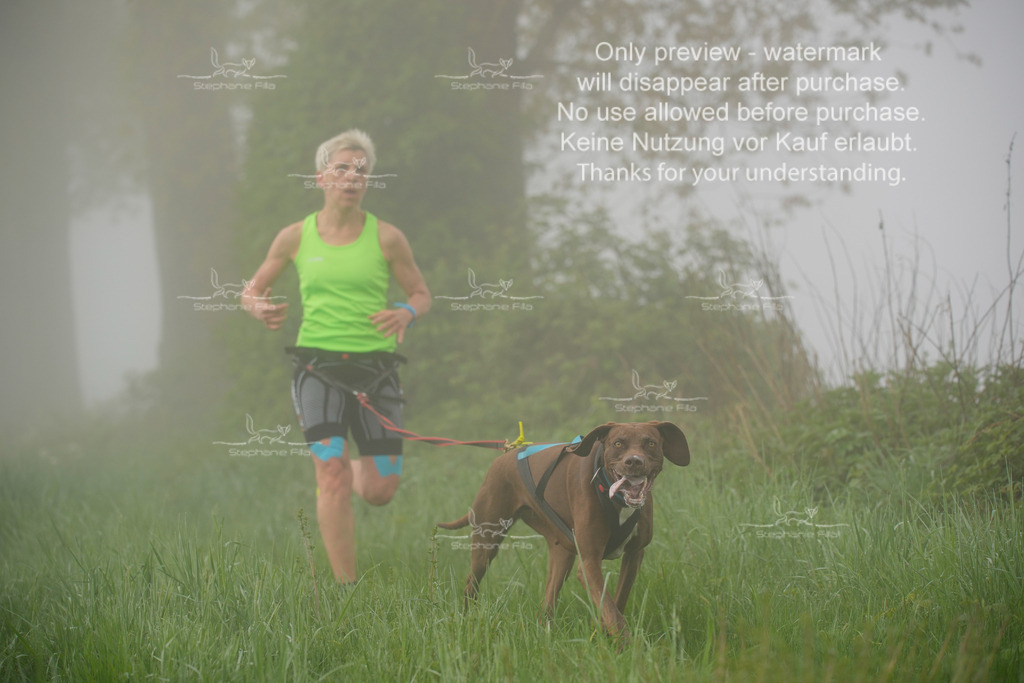 SA_GL2-102 | stephaniefillaphotographie - Realisiert mit Pictrs.com