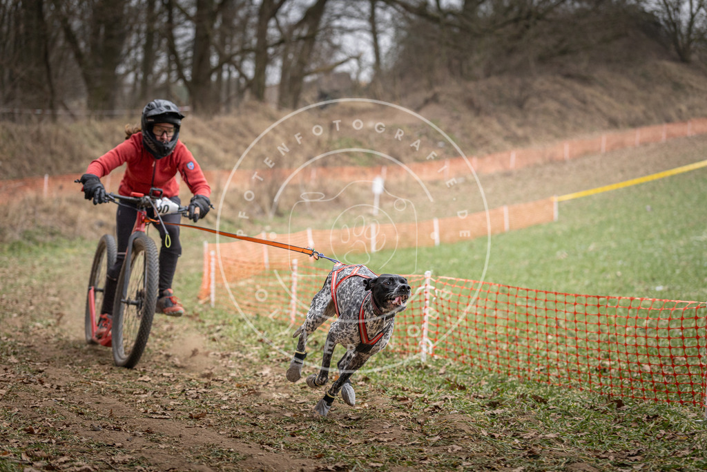 Pfotenfotografie_DV3A6698 | Hundefotografie, Tierfotograf, Pfotenfotografie, Fotoshooting Hund, Hunde Portrait, Hundesport, Hundeportraits, Heideshooting, Hunde, Sportfotograf, Hundefotograf, Turnierhundsport, THS,  - Realisiert mit Pictrs.com