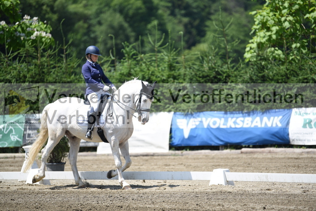 DSC_0257 | equestrian-live-com