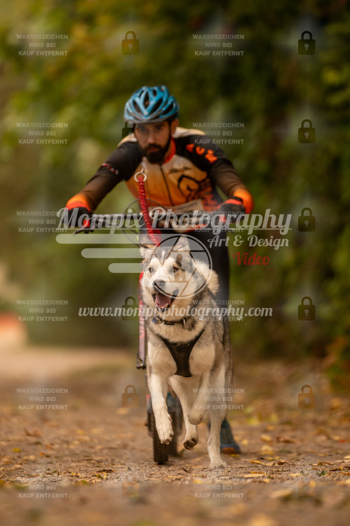 CDLBDB_14_10_2023_Samedi-161 | PayLife