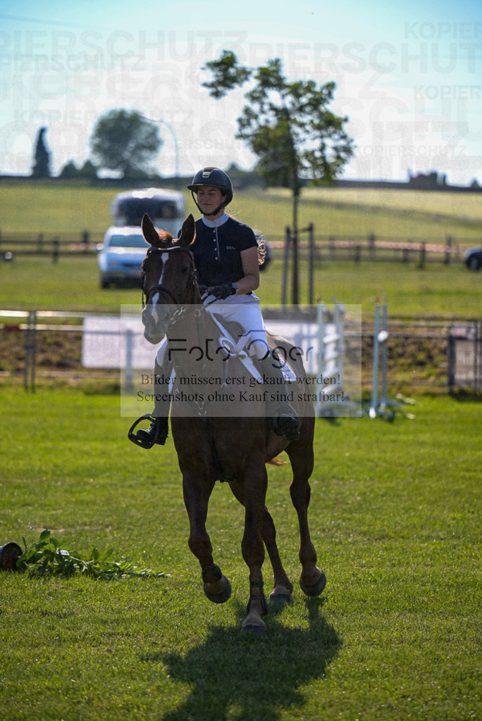 Reitturnier Voxtrup | Entdecke hochwertige Reitturnierfotos von Foto Oger. Professionell, emotional und authentisch – jetzt Lieblingsmomente im Shop bestellen.Deutschlandweite Turnierfotografie. - Realisiert mit Pictrs.com