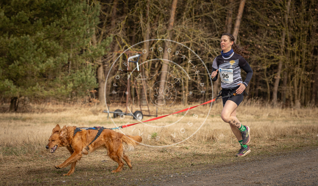 DV3A4102 | Hundefotografie, Tierfotograf, Pfotenfotografie, Fotoshooting Hund, Hunde Portrait, Hundesport, Hundeportraits, Heideshooting, Hunde, Sportfotograf, Hundefotograf, Turnierhundsport, THS,  - Realisiert mit Pictrs.com
