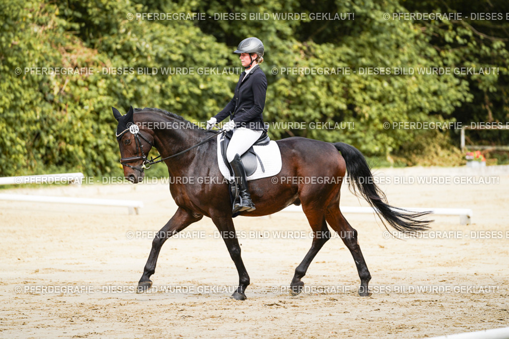 DSC01632 | Pferdegrafie