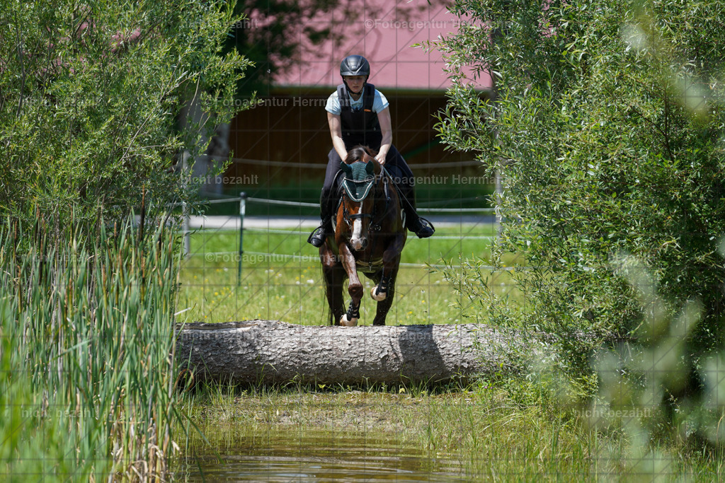 20240622-FAH07120 | Turnierfotografen Bayern, Reitsportbilder aus dem Geländekurs mit Felix Etzel auf dem Gut Waitzacker 2024