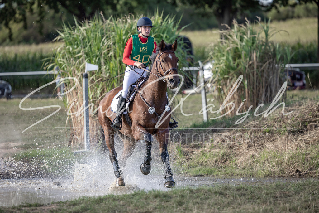 20250907-_3LI4153 | Tierfotografie Pferde, Hunde, Katzen, Haustiere.
Turnierfotografie Reitturniere, Reiten, Springreiten, Dressur in Hanau, dem Main-Kinzig-Kreis und dem Rhein-Main- Gebiet um Frankfurt