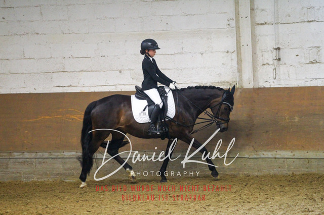 DKP43838 | Turniersportfotografie; Pferdefotografie; Dressurfotografie