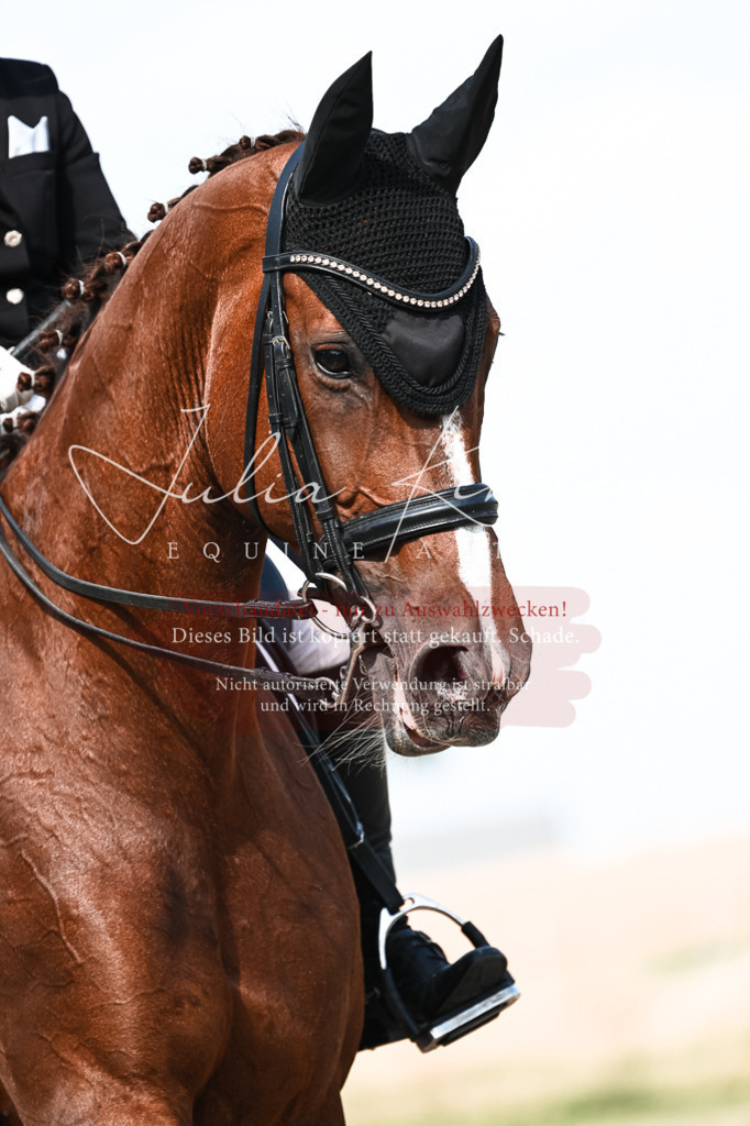 DSC_3254 | Pferde- und Turnierfotografie in Westsachsen. Pferdeportraits, Auftragszeichnungen und intuitive Kunst.