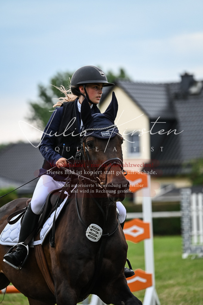 DSC_8567 | Pferde- und Turnierfotografie in Westsachsen. Pferdeportraits, Auftragszeichnungen und intuitive Kunst.