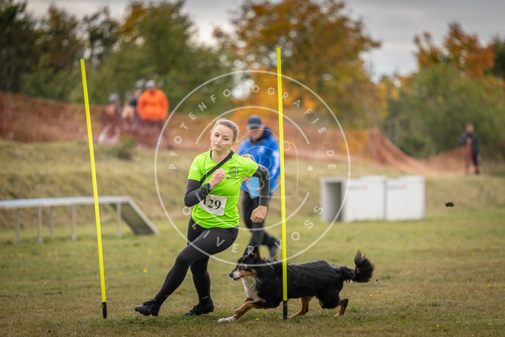 Pfotenfotografie_DV3A6861 | Hundefotografie, Tierfotograf, Pfotenfotografie, Fotoshooting Hund, Hunde Portrait, Hundesport, Hundeportraits, Heideshooting, Hunde, Sportfotograf, Hundefotograf, Turnierhundsport, THS,  - Realisiert mit Pictrs.com