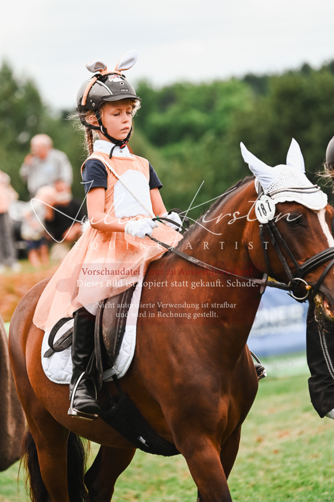DSC_7397 | Pferde- und Turnierfotografie in Westsachsen. Pferdeportraits, Auftragszeichnungen und intuitive Kunst.