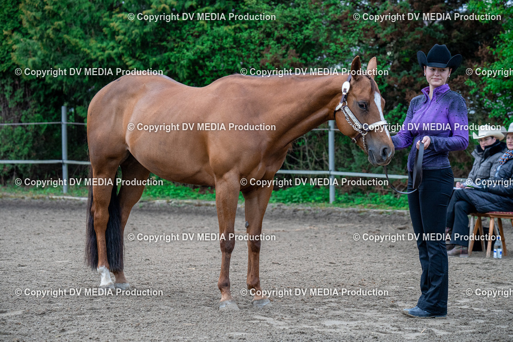 BA300045 | dv-media-shop - Realisiert mit Pictrs.com