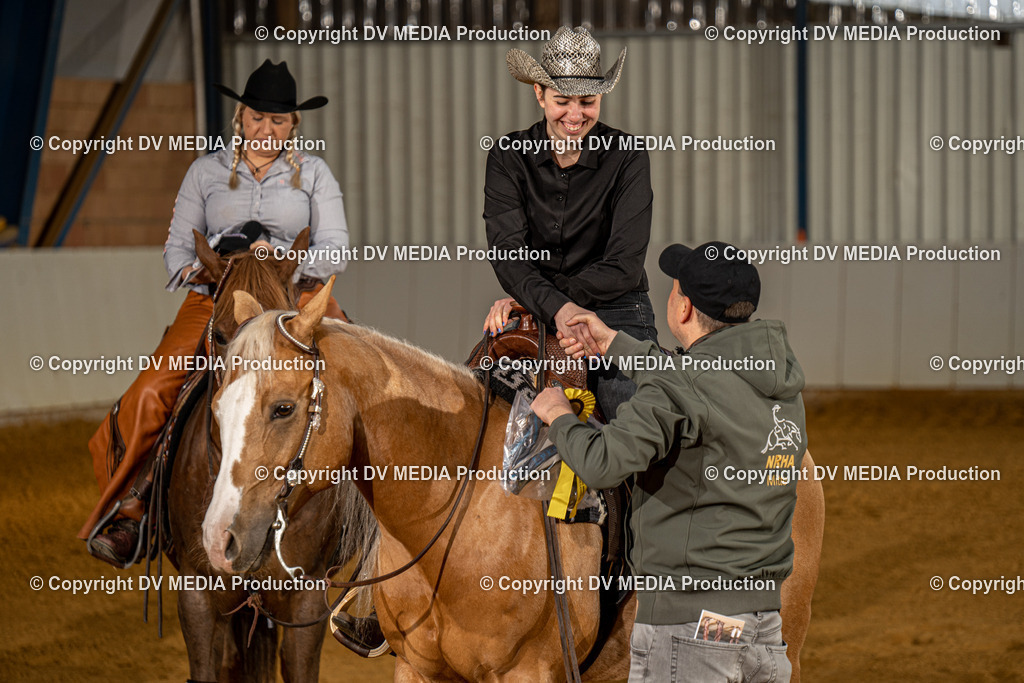 MIT00788 | dv-media-shop - Realisiert mit Pictrs.com