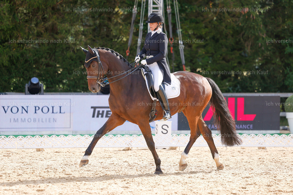 09_2-174-DRESSUR  S_  -StoibPH-5773 | working equitationturnier fotograf videograf stoibphotography marixx film working equitation deutschland reitsport turnierfotografie eventfotografie equestrian events