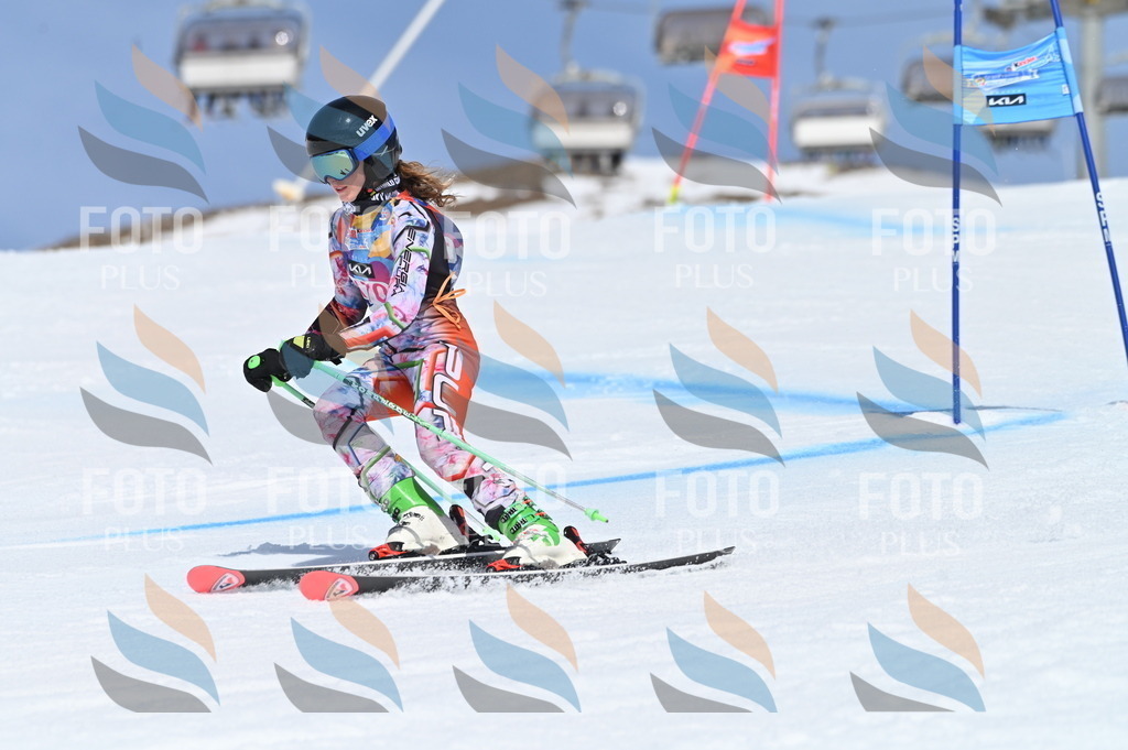 BGV_0441 | holidayphoto