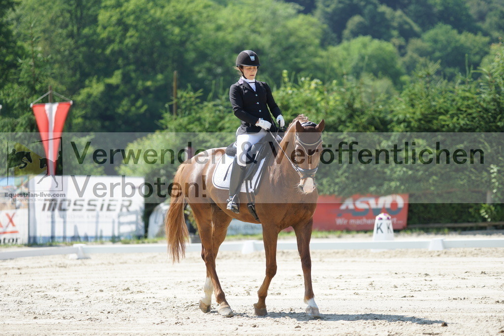 DSC02285 | equestrian-live-com