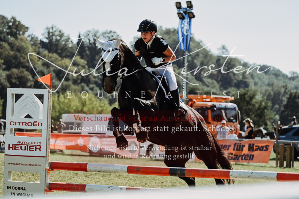 DSC_6647 | Pferde- und Turnierfotografie in Westsachsen. Pferdeportraits, Auftragszeichnungen und intuitive Kunst.