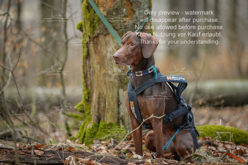 Rallye-82 | stephaniefillaphotographie - Realisiert mit Pictrs.com