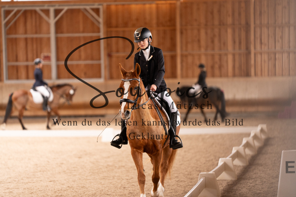 A7506942 | Turnier/Reitfotograf