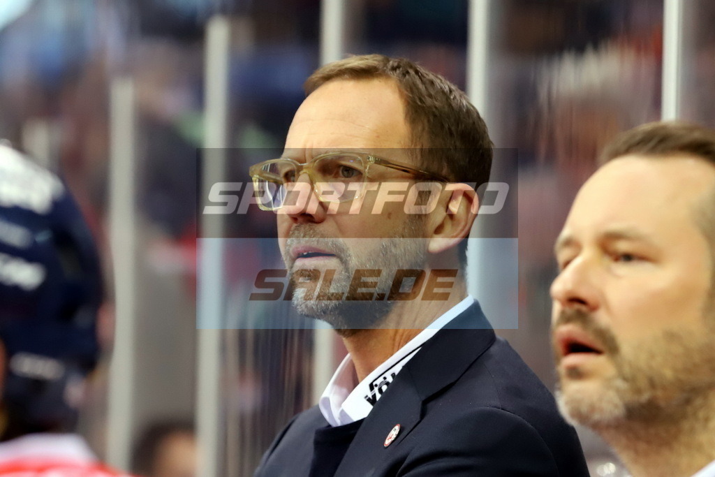 Roger Hansson - HC DEG | Roger Hansson - HC DEG - Realisiert mit Pictrs.com