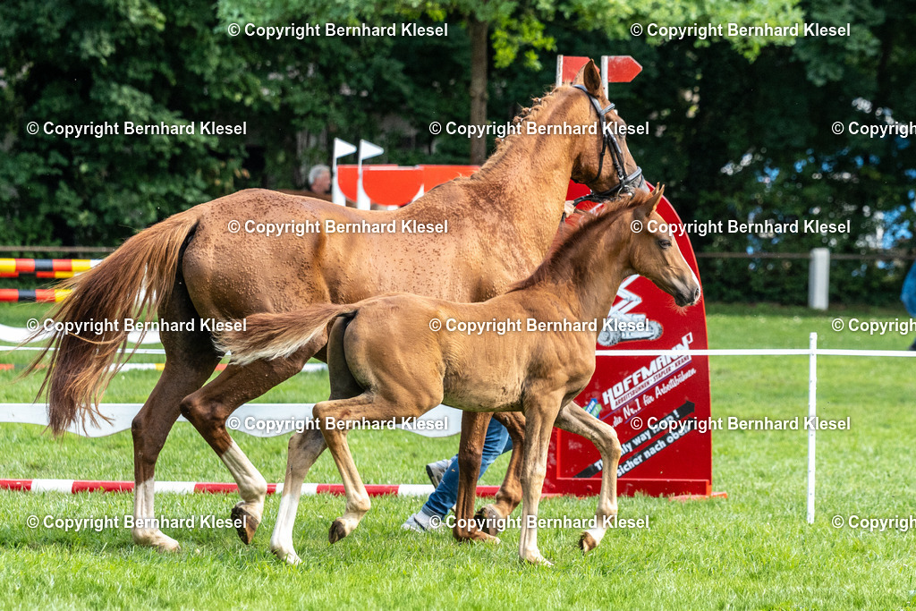 _DSC0166 | foto-team-bernhard - Realisiert mit Pictrs.com