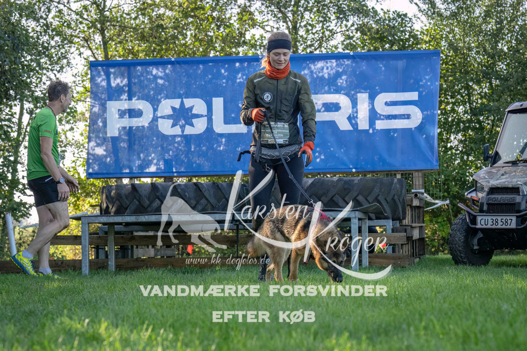 1048--2 | kk-dogfotos
