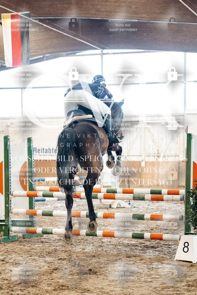 CK904277 | Turnierfotografie Pferdefotografie Trier Rheinland-Pfalz Pferdesport Reitsport Tierfotografie Sportfotografie Pferdevideo Pferdevideografie Equestrianvideography equestrianphotography  - Realisiert mit Pictrs.com