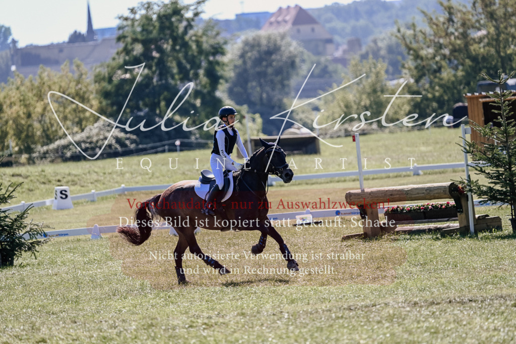 DSC_2776 | Pferde- und Turnierfotografie in Westsachsen. Pferdeportraits, Auftragszeichnungen und intuitive Kunst.