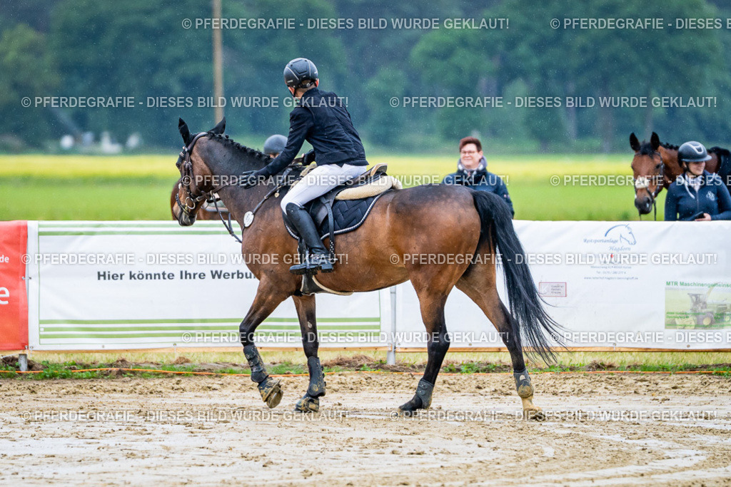 DSC01440 | Pferdegrafie