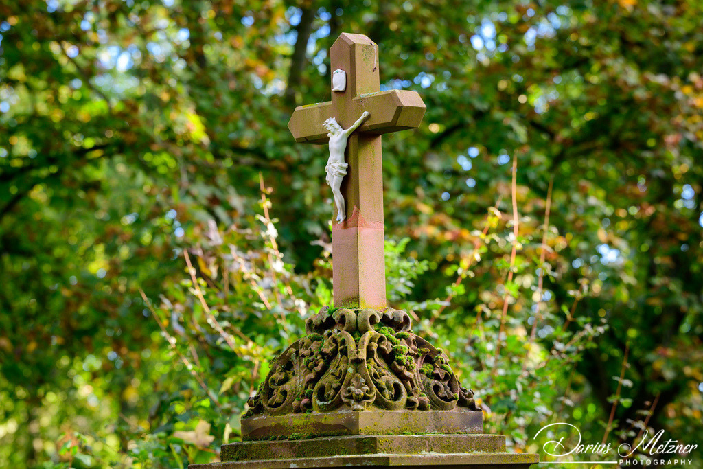 Der alte Hauptfriedhof in Mainz | Der alte Hauptfriedhof in Mainz