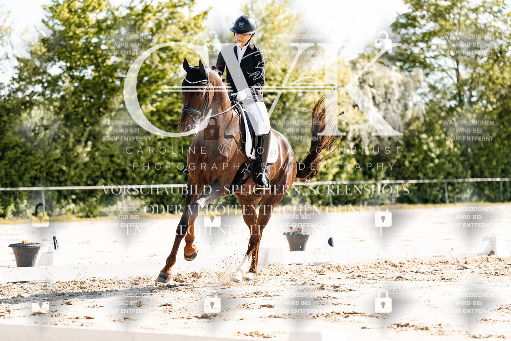 CK909185 | Turnierfotografie Pferdefotografie Trier Rheinland-Pfalz Pferdesport Reitsport Tierfotografie Sportfotografie Pferdevideo Pferdevideografie Equestrianvideography equestrianphotography  - Realisiert mit Pictrs.com