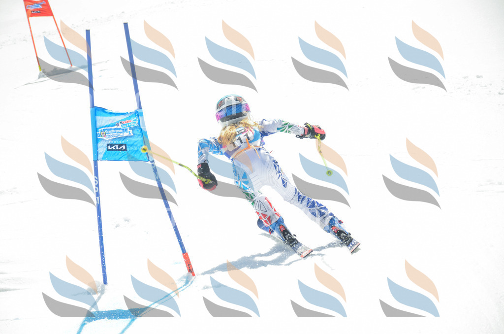 _ELE5905 | holidayphoto